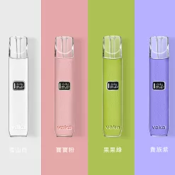 ~5DYF{T0P$PYR$XW43FZJ$H VAKA一代皮革主機:圖片 1